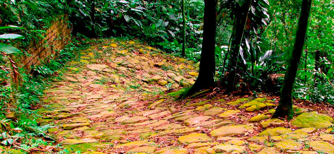 Os caminhos calçados de travessia da Serra do Mar no Brasil Colônia e Império: construção e pavimentação figura2 calcadas