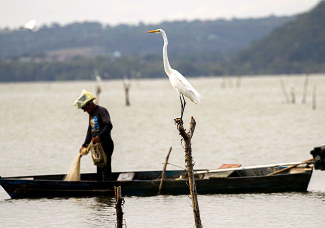 Desastre de Maceió deixa lições para o Brasil em termos de monitoramento e prevenção desastre de maceio deixa licoes para o brasil em termos de monitoramento e prevencao desastre de maceio deixa licoes para o brasil em termos de monitoramento e prevencao 5