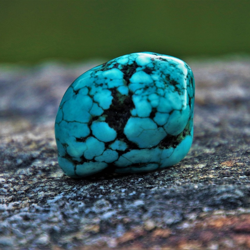 turquoise-3388145_1280 (1)