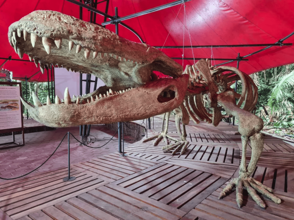 Clube Recomenda: Exposição do Museu da Amazônia, em Manaus 1 Clube Recomenda: Exposição do Museu da Amazônia, em Manaus captura de tela 2021 04 07 as 16.45.05