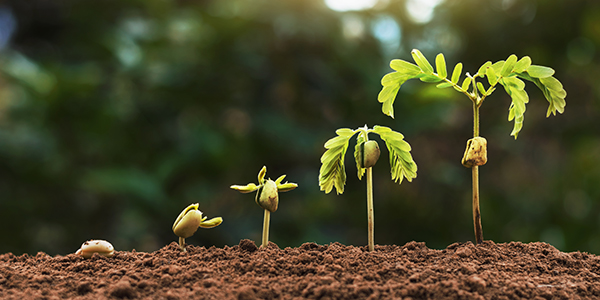 "Of Mice and Men" — A economia verde é a nova economia economia verde agencia bndes
