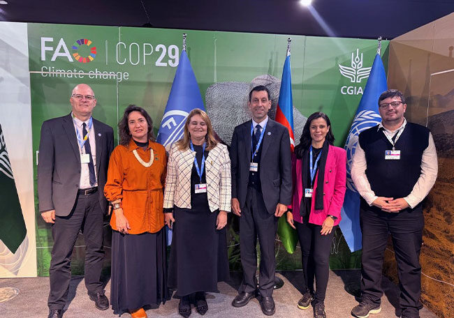 COP30 será vitrine para agricultura regenerativa brasileira 1 COP30 será vitrine para agricultura regenerativa brasileira cop30 sera vitrine para agricultura regenerativa brasileira cop30 sera vitrine para agricultura regenerativa brasileira 1