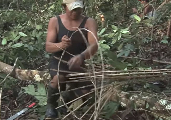 Riqueza da Amazônia vai além da biodiversidade riqueza da amazonia vai alem da biodiversidade riqueza da amazonia vai alem da biodiversidade 1