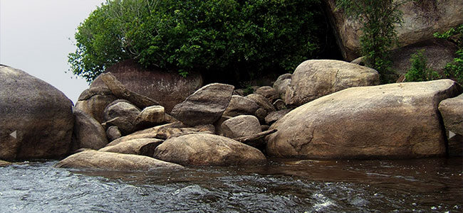 Riqueza da Amazônia vai além da biodiversidade riqueza da amazonia vai alem da biodiversidade riqueza da amazonia vai alem da biodiversidade 2