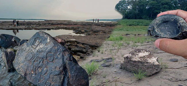 Riqueza da Amazônia vai além da biodiversidade riqueza da amazonia vai alem da biodiversidade riqueza da amazonia vai alem da biodiversidade 3