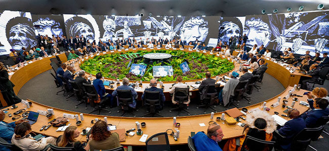 COP 30 termina com avanços e frustrações em seus compromissos firmados 54907050540 b289a5a8b8 o 54907050540 b289a5a8b8 o