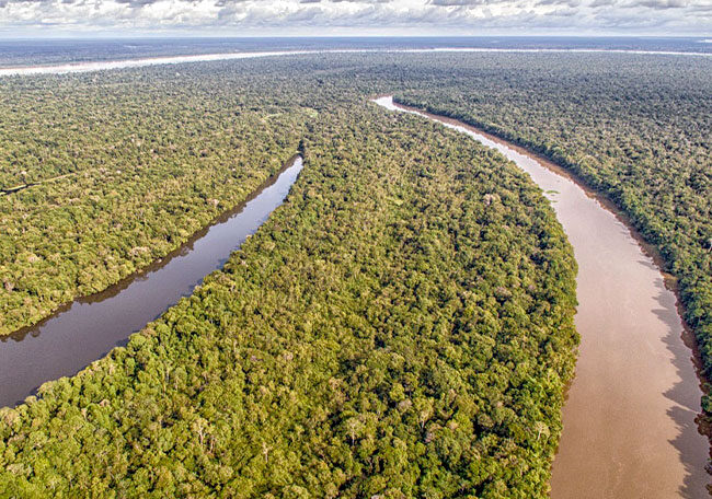 COP 30 termina com avanços e frustrações em seus compromissos firmados amazonia 12 amazonia 12