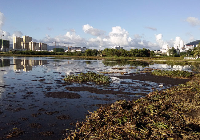 Cidades-Esponja: Estratégias de Mitigação e Adaptação Urbana às Mudanças do Clima 1 Cidades-Esponja: Estratégias de Mitigação e Adaptação Urbana às Mudanças do Clima cidades esponja estrategias de mitigacao e adaptacao urbana as mudancas do clima cidades esponja estrategias de mitigacao e adaptacao urbana as mudancas do clima 7