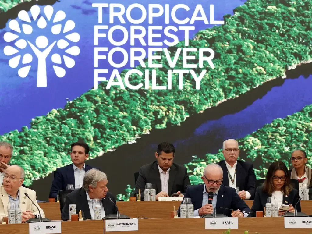 Fundo para florestas tropicais atinge aporte de US$ 5,5 bilhões 3 Fundo para florestas tropicais atinge aporte de US$ 5,5 bilhões fundo para florestas tropicais atinge aporte de us 55 bilhoes fundo para florestas tropicais atinge aporte de us 55 bilhoes