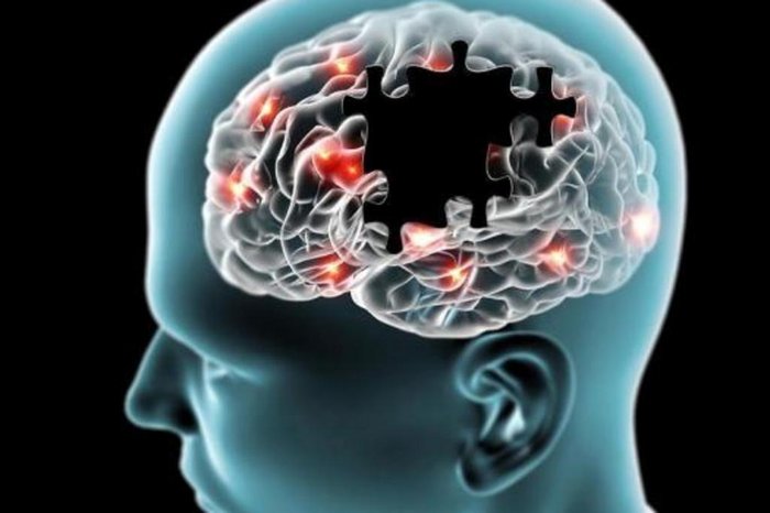 Clube de Engenharia 1 Clube de Engenharia nanoparticulas conseguem reverter sinais do alzheimer em camundongos nanoparticulas conseguem reverter sinais do alzheimer em camundongos