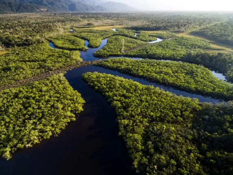 Clube de Engenharia norte conectado governo avalia novos trechos e chegada ao tocantins norte conectado governo avalia novos trechos e chegada ao tocantins