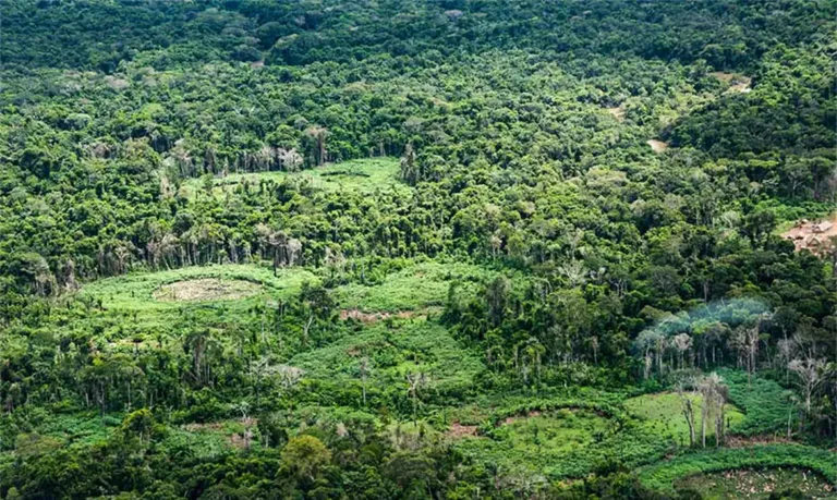 Clube de Engenharia terra indigena ti panara na amazonia01 terra indigena ti panara na amazonia01