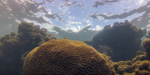 Crédito: Fernando Frazão/Agência Brasil