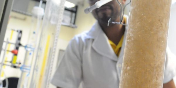 DSC_0124-1536x1020 (1)