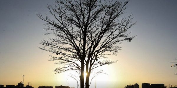 Crédito: Valter Campanato/Agência Brasil