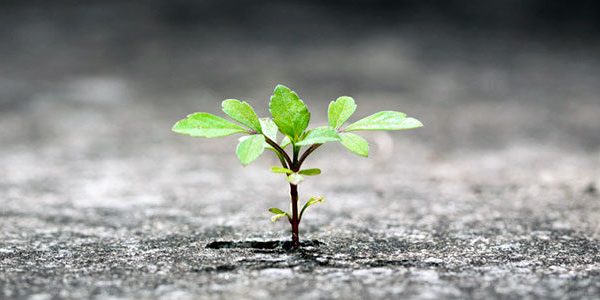 Imagem-do-WhatsApp-de-2025-11-19-à(s)-14.03.24_81561dc1