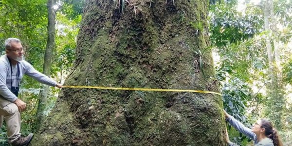 Captura de tela 2025-10-03 100011