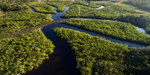 Amazonia-1392x1042