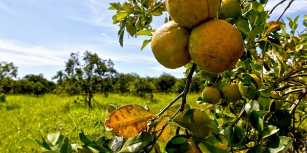 fc4b8d9207634864a2691e752ff738b0 (1) (1)