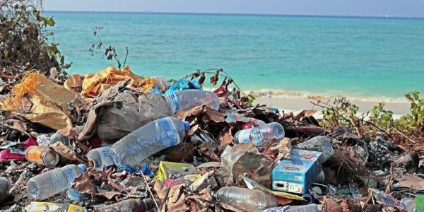 image1170x530cropped