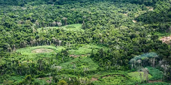 terra_indigena_ti_panara_na_amazonia01