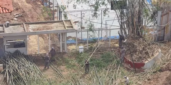 whatsapp-image-2026-01-08-at-11.19.36